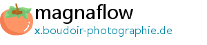 magnaflow